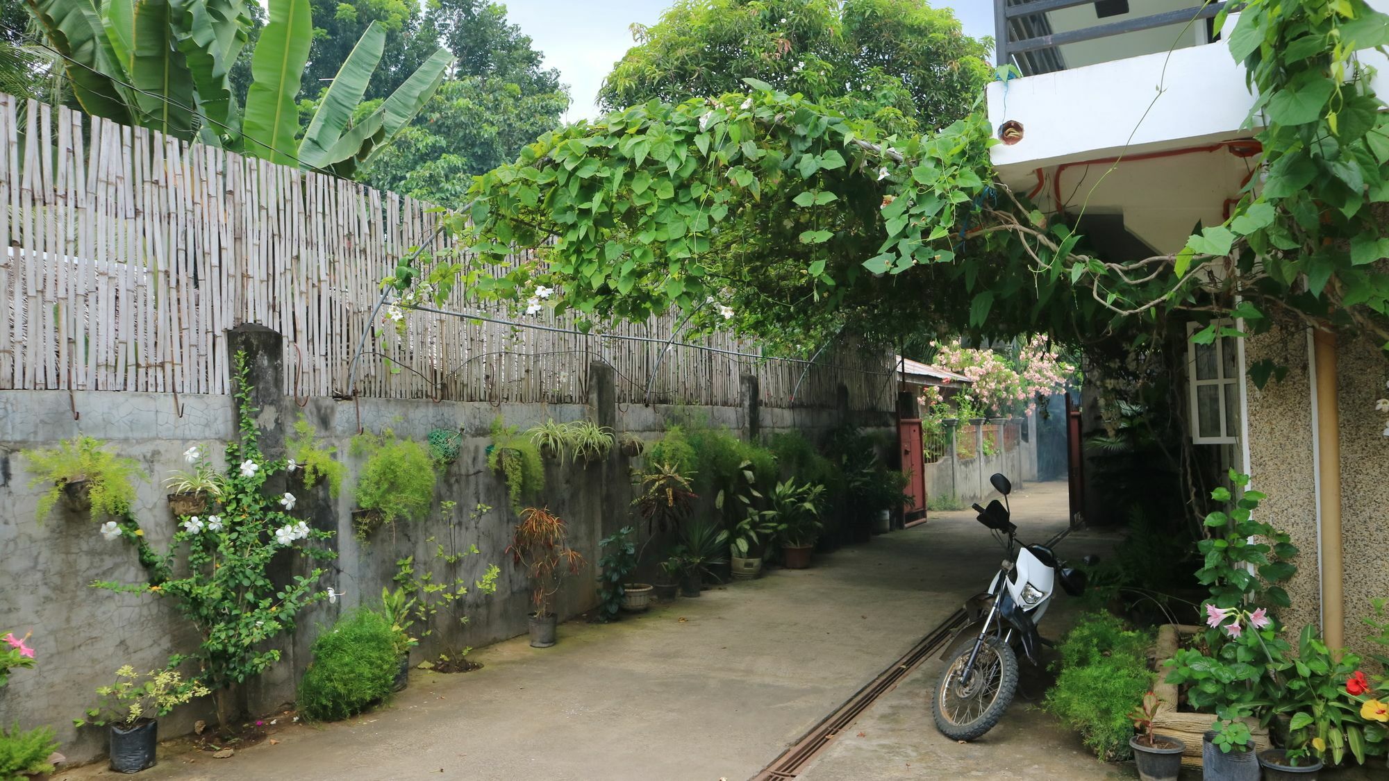 Charm Guest House Puerto Princesa Exterior photo